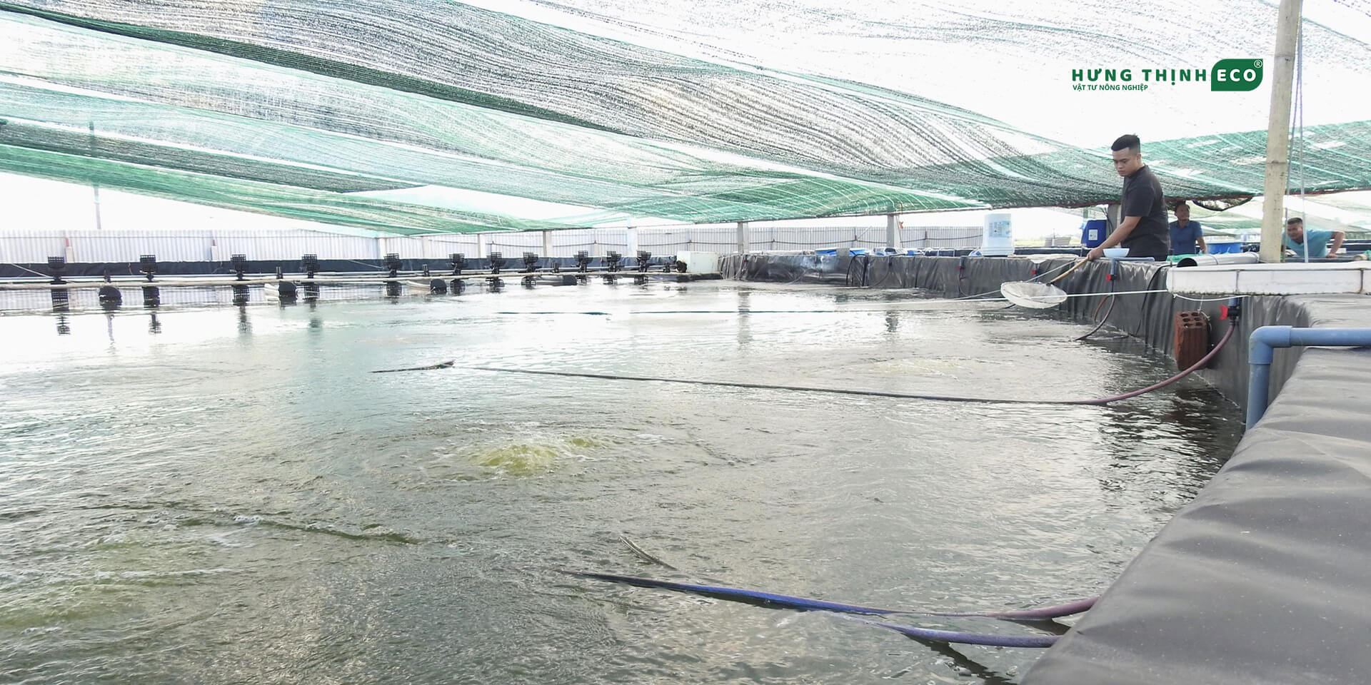 bat-hdpe-chong-tham-hung-thinh-eco