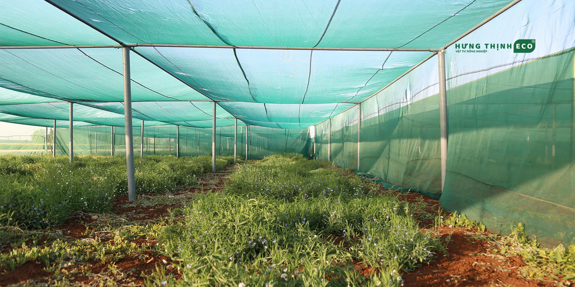 luoi-che-nang-hung-thinh-eco