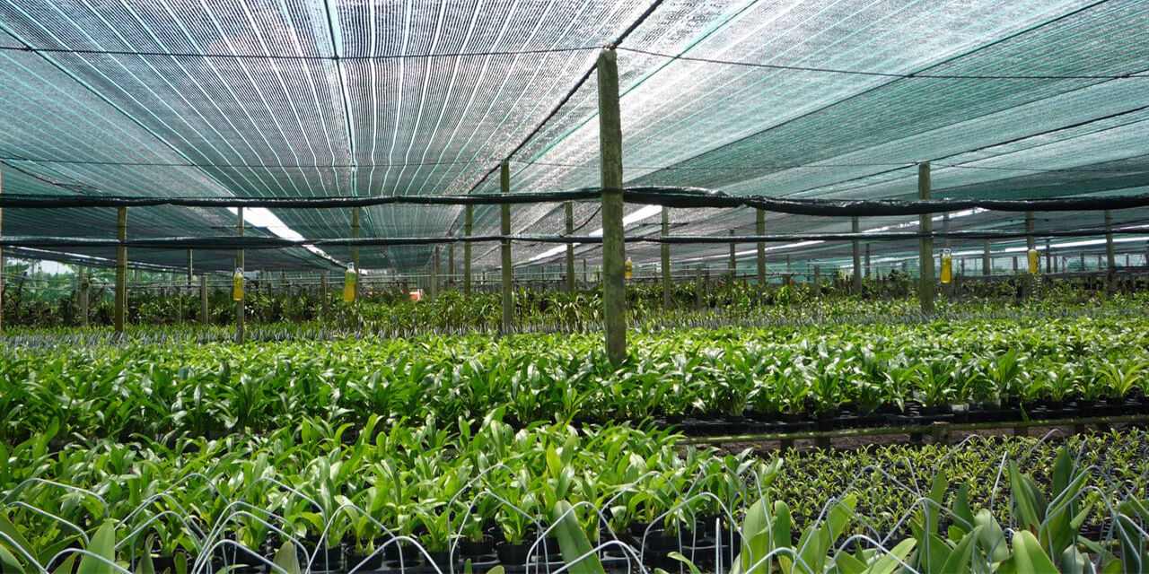 vat-tu-nong-nghiep-hung-thinh-eco