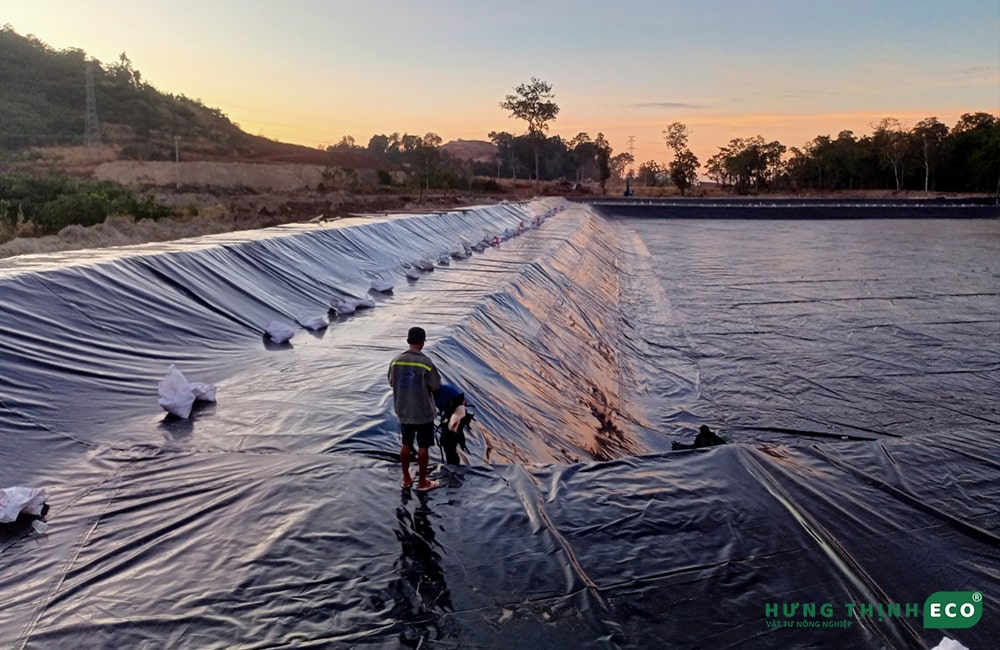Bạt HDPE 0.75 mm làm hồ tôm công nghiệp