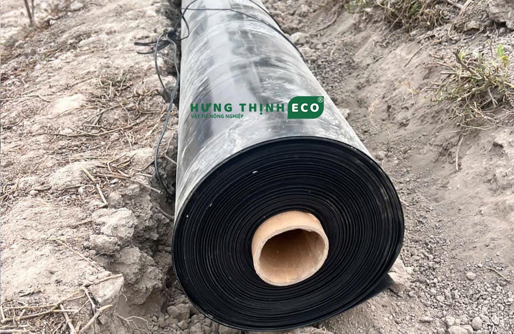Bạt HDPE 2 mm cuộn khổ ngang 4m