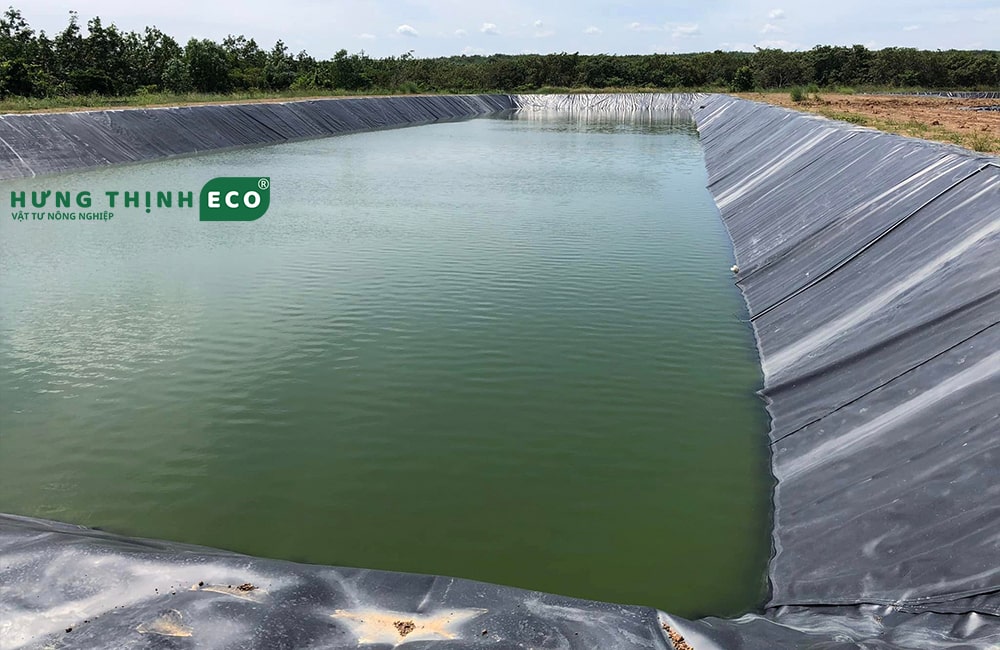 Bạt HDPE 2 mm làm hồ cá