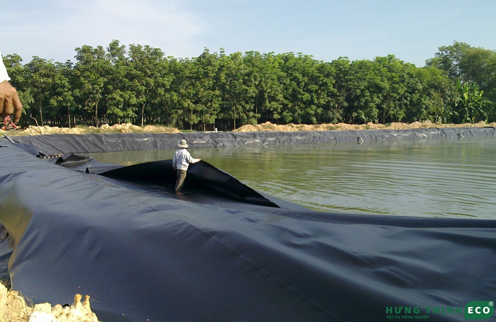 Bạt HDPE lót hồ cá