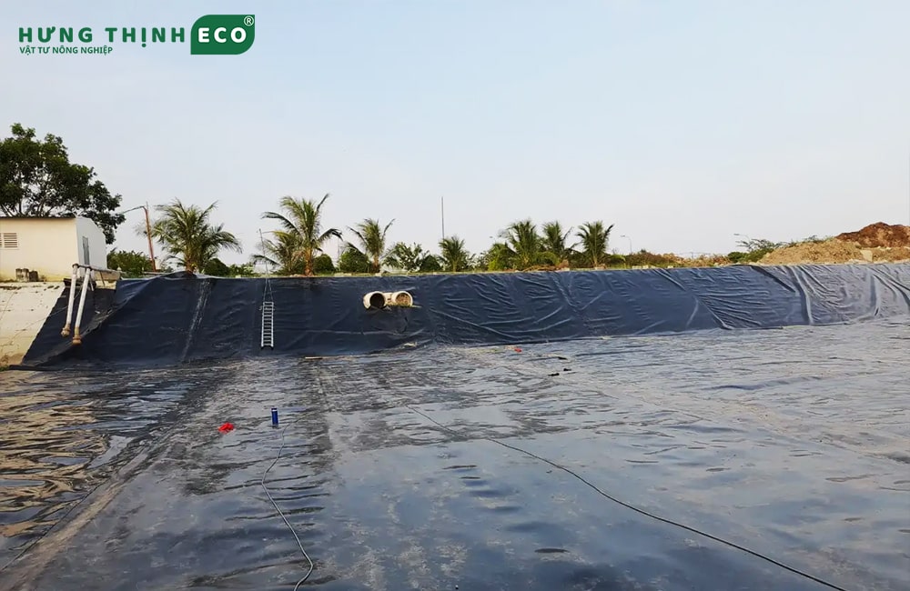 Bạt HDPE 1 mm làm hồ cá
