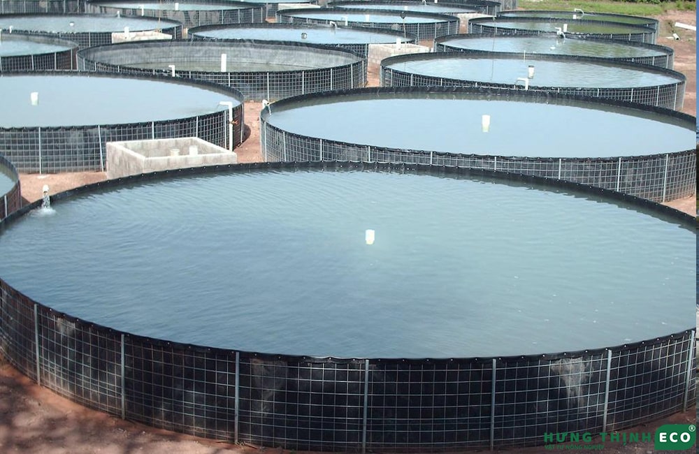 Bạt HDPE lót bể