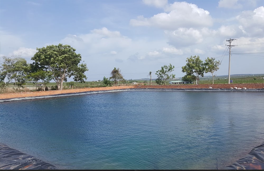Bạt Lót Ao Hồ Chứa Nước