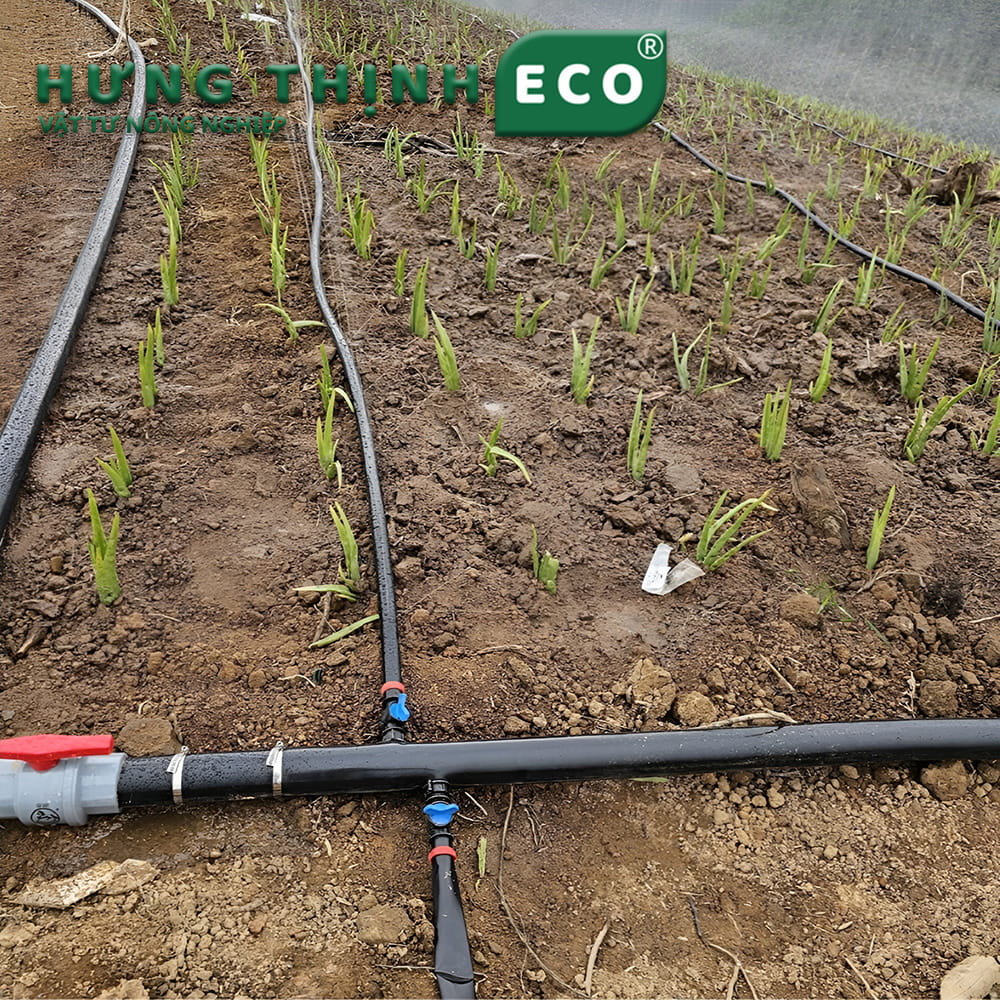 ống dẹp fi63 tải nước chính